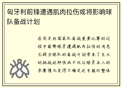 匈牙利前锋遭遇肌肉拉伤或将影响球队备战计划