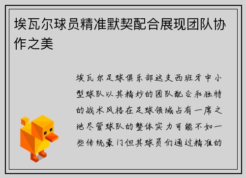 埃瓦尔球员精准默契配合展现团队协作之美